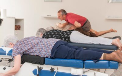 El concepto de salud de la quiropráctica