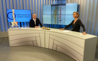 Conoce cuáles son los seis pilares de la salud