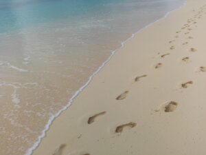 playa paseo