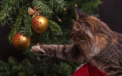 Menú Navideño: Ideas para triunfar estas fiestas