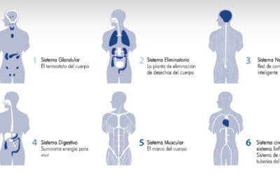 La técnica de las zonas