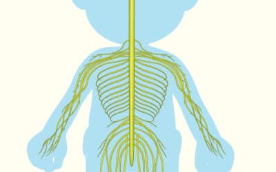 Cuidar tu sistema nervioso en un mundo impredecible