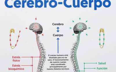 ¿Quieres sentirte bien? Analogía del imperdible