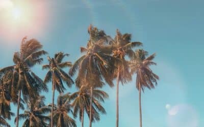 Consejos para un verano perfecto