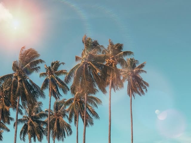 Consejos Verano