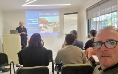 Técnica Activator en Quiropráctica