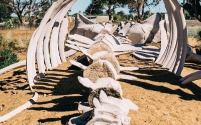 Día Mundial de la Columna Vertebral y quiropráctica