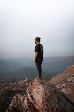 quiropráctica y analogía de la salud